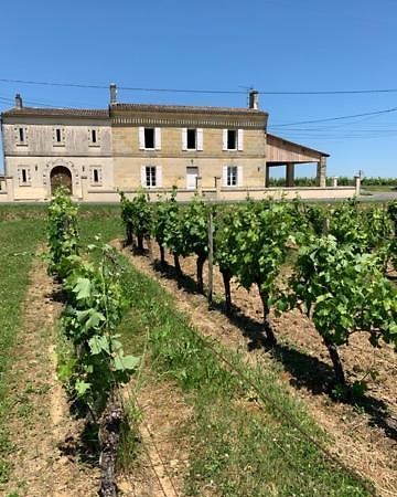 Gite Du Chateau La Rose Des Vents Villa Puisseguin Luaran gambar