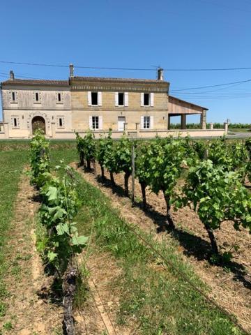 Gite Du Chateau La Rose Des Vents Villa Puisseguin Luaran gambar